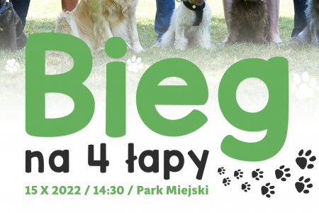 Bieg na 4 łapy